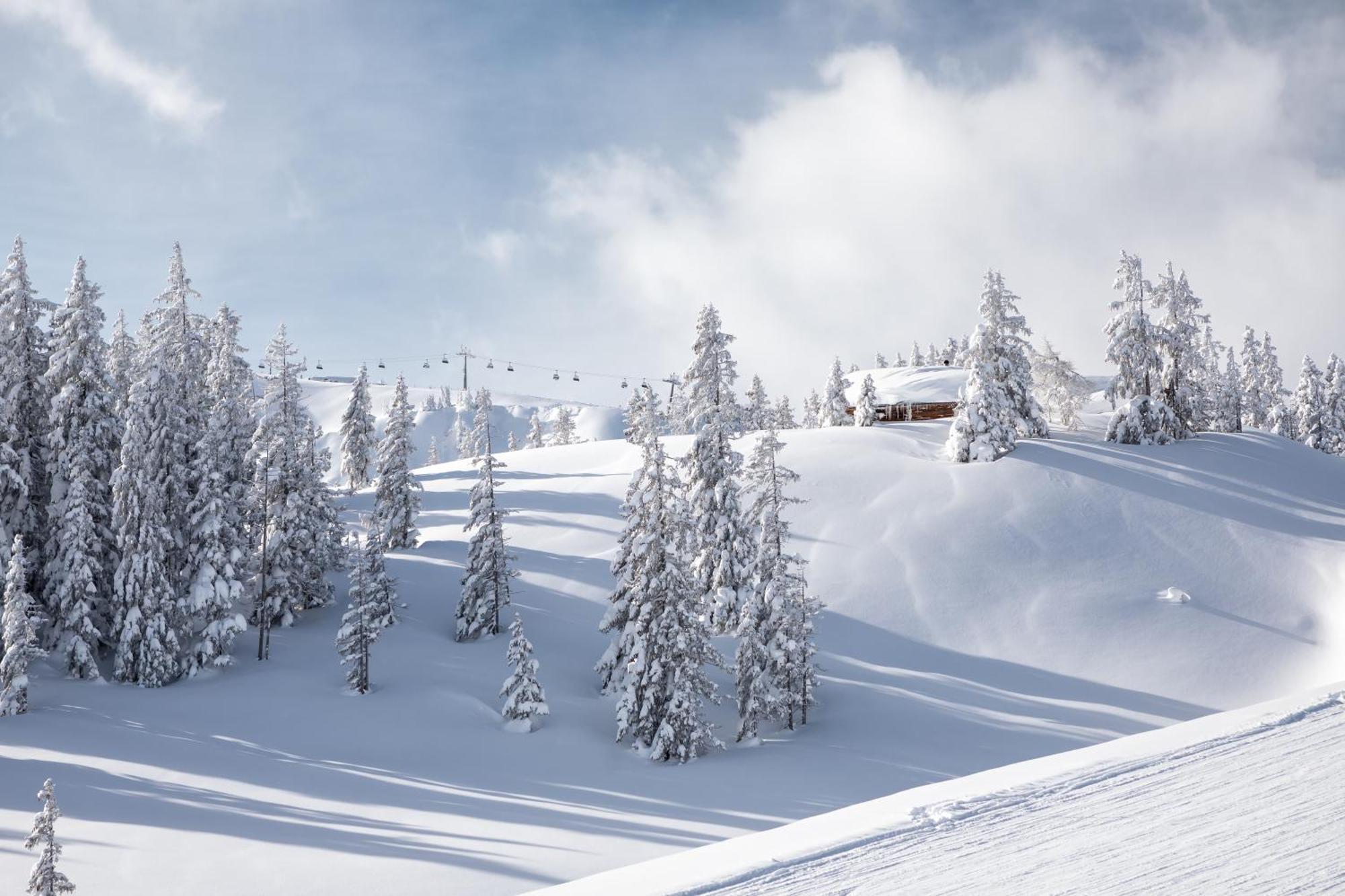 Philson Apartments Saalbach Exterior foto
